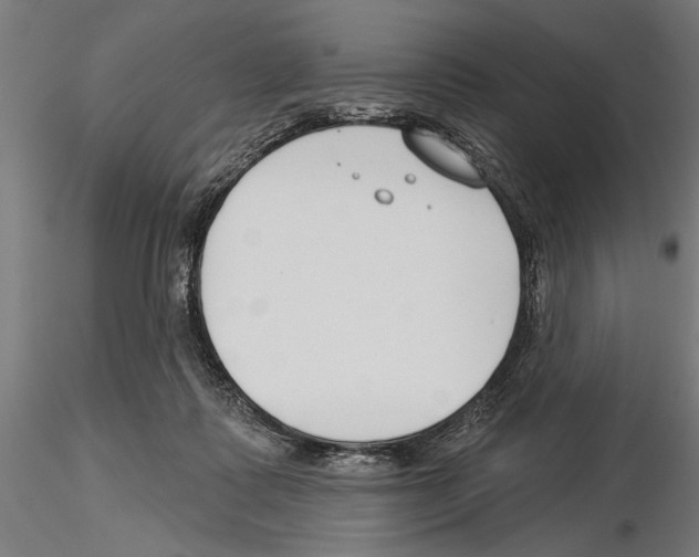 X0000115250315200912111123