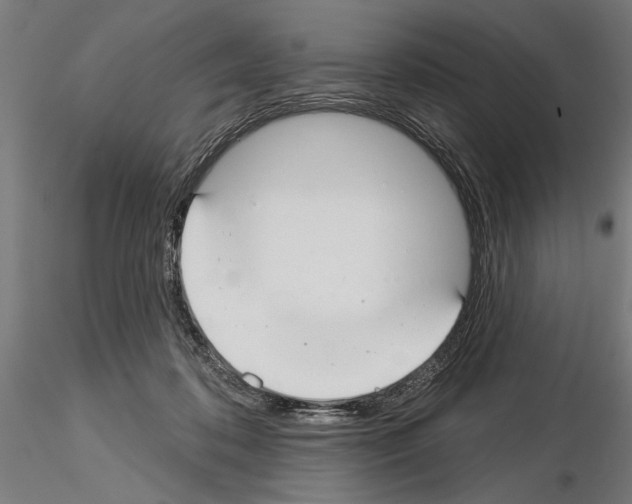 X0000115250316200912111123