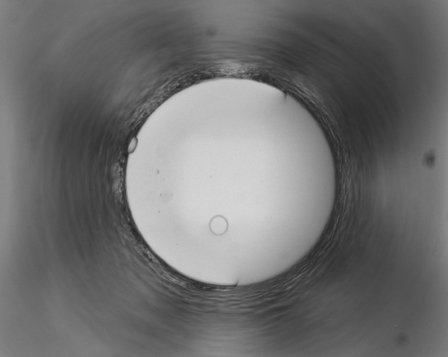 X0000115250317200912111123