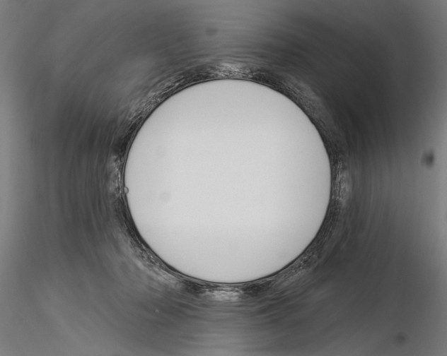 X0000115250318200912111123