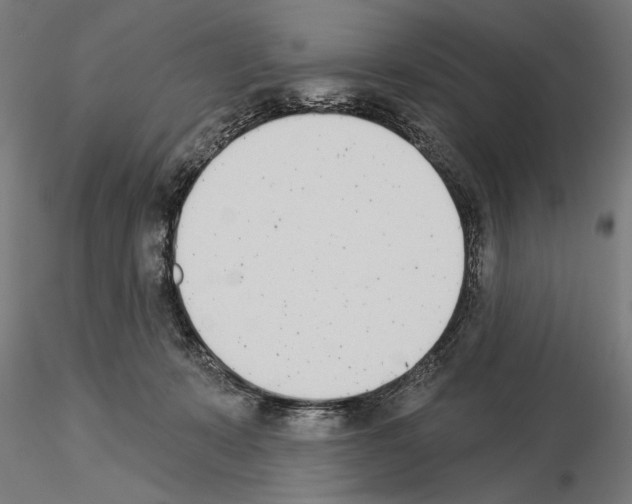 X0000115250319200912111123