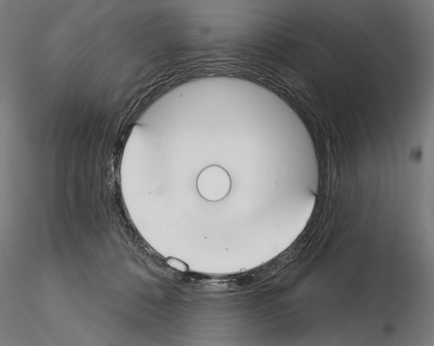 X0000115250320200912111123