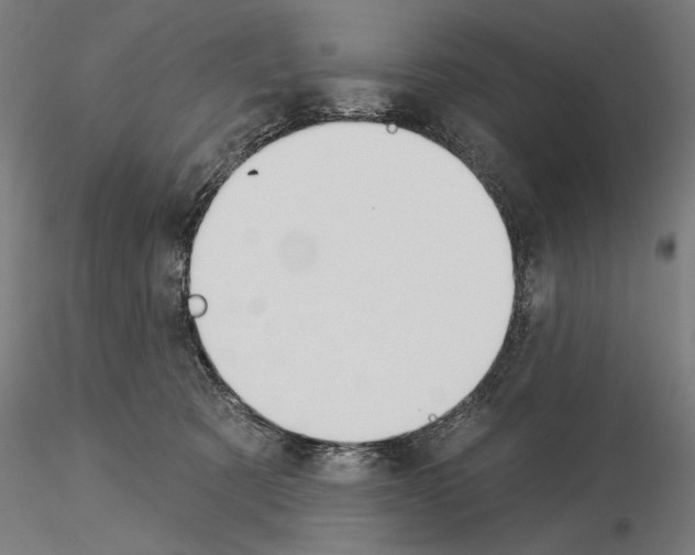 X0000115250321200912111123