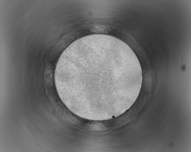 X0000115250322200912111123