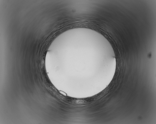 X0000115250324200912111123