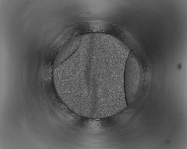 X0000115250325200912111123
