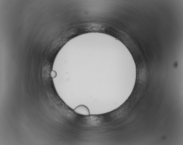 X0000115250326200912111123