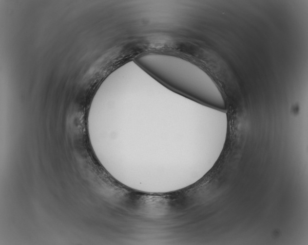 X0000115250327200912111123