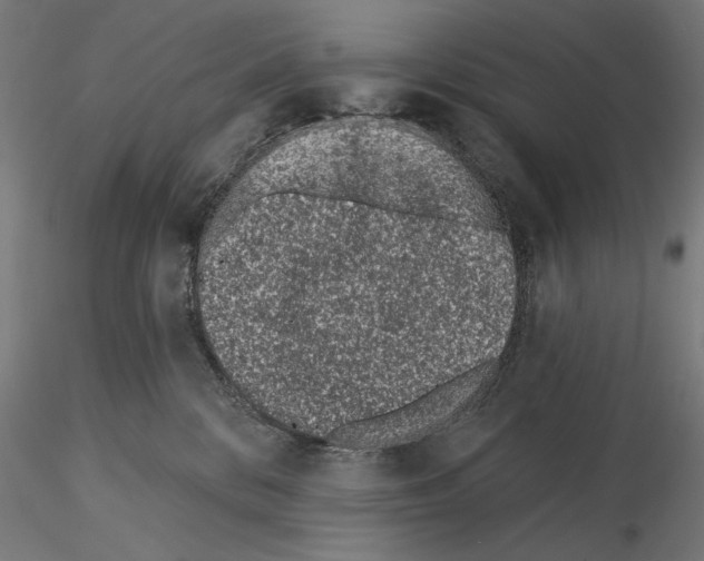 X0000115250328200912111123