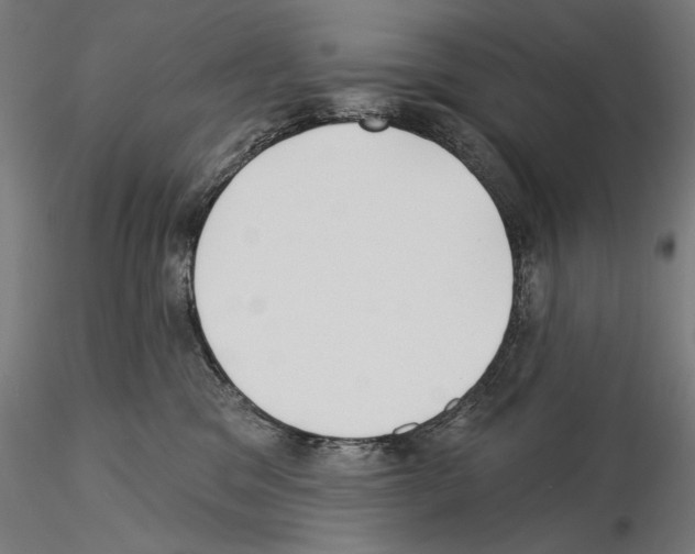 X0000115250329200912111123