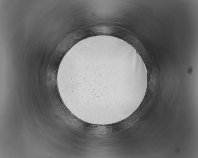 X0000115250330200912111123