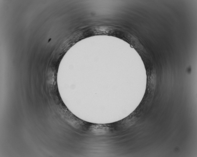 X0000115250331200912111123
