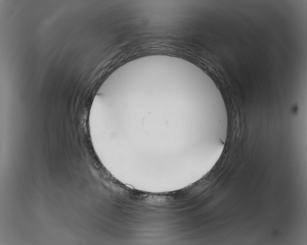 X0000115250332200912111123