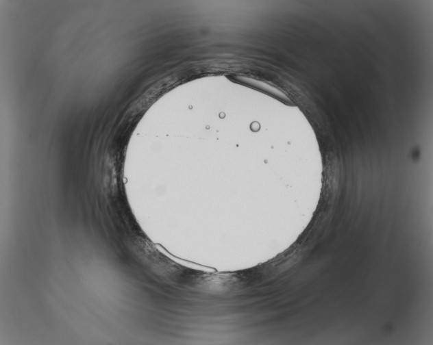 X0000115250333200912111123