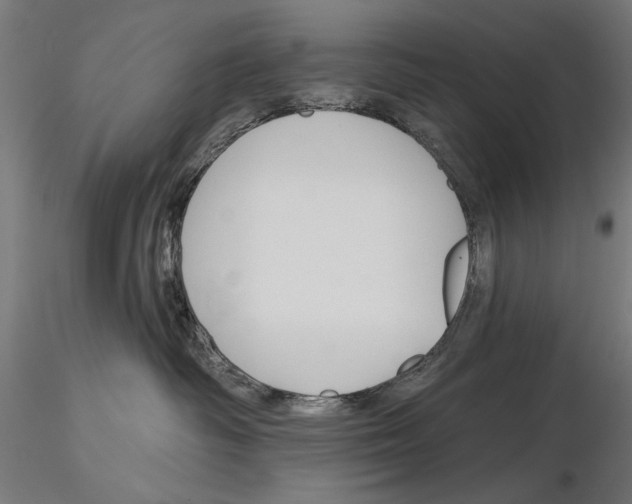 X0000115250334200912111122