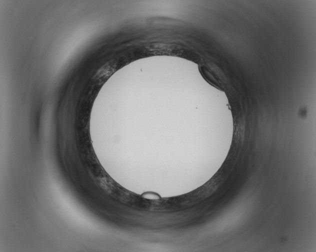 X0000115250335200912111122
