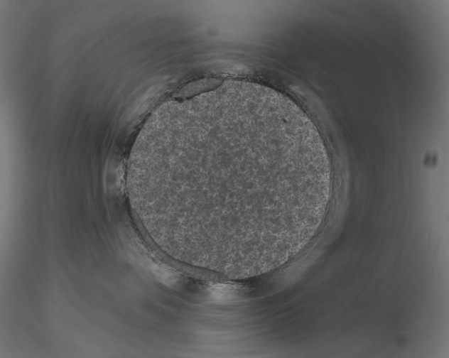 X0000115250336200912111122