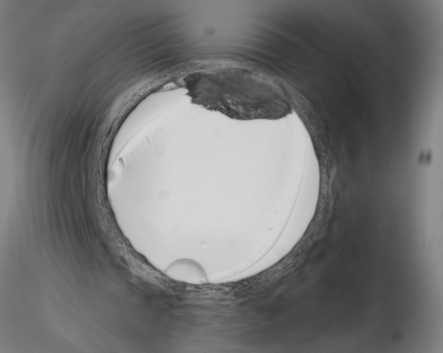 X0000115250337200912111122