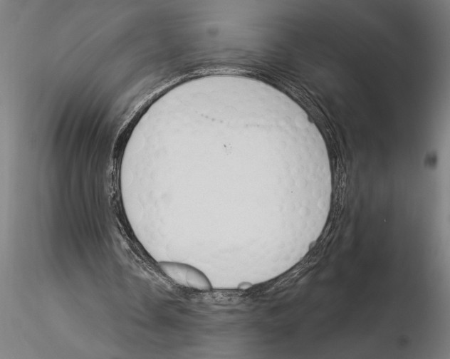 X0000115250338200912111122