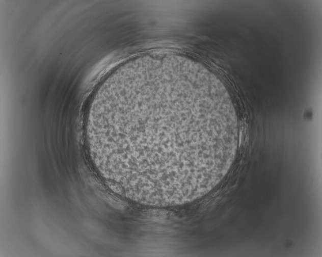 X0000115250339200912111122