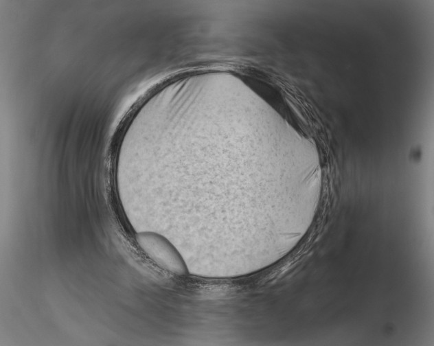X0000115250342200912111122