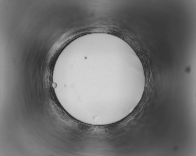 X0000115250343200912111122