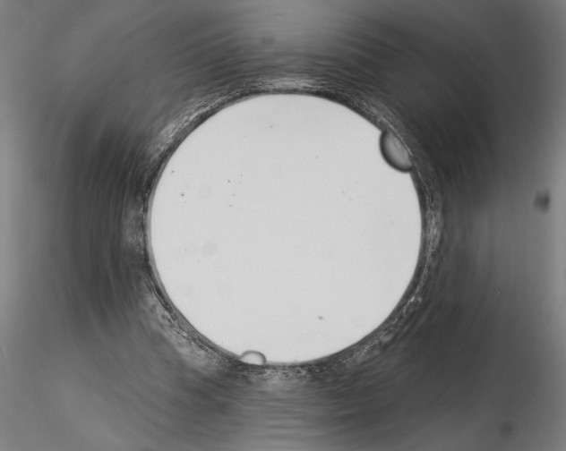 X0000115250345200912111122