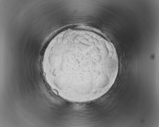 X0000115250346200912111122