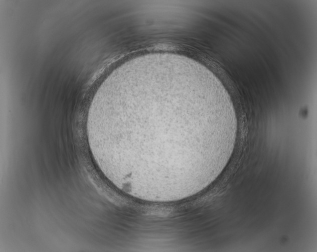 X0000115250347200912111122