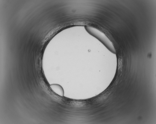 X0000115250349200912111122