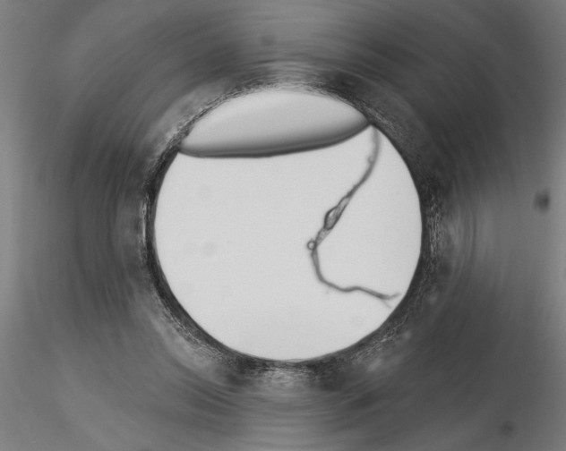 X0000115250350200912111122