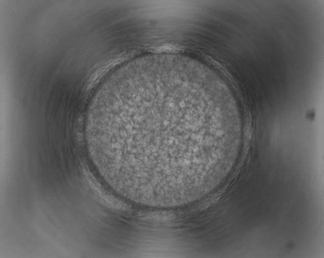 X0000115250353200912111122
