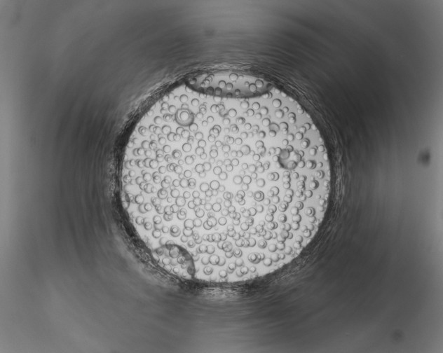 X0000115250354200912111122