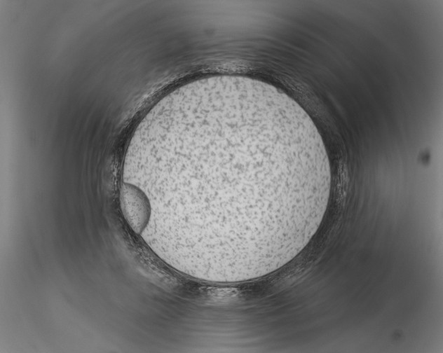 X0000115250355200912111122