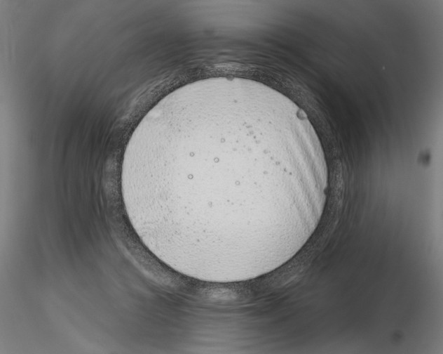 X0000115250361200912111122