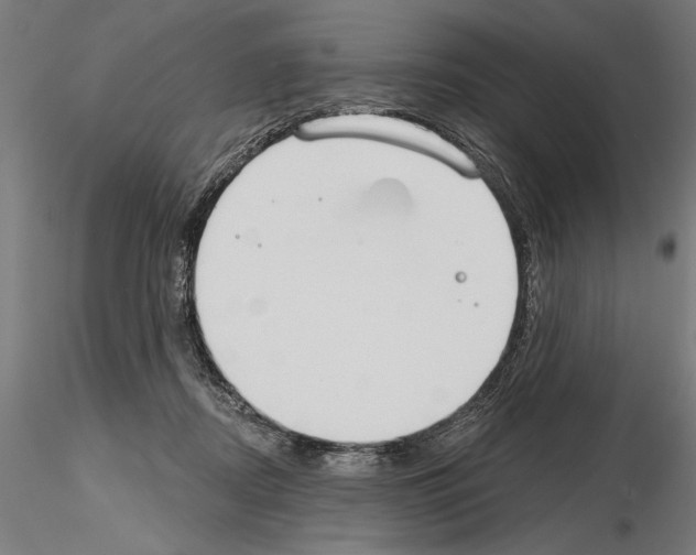 X0000115250362200912111122