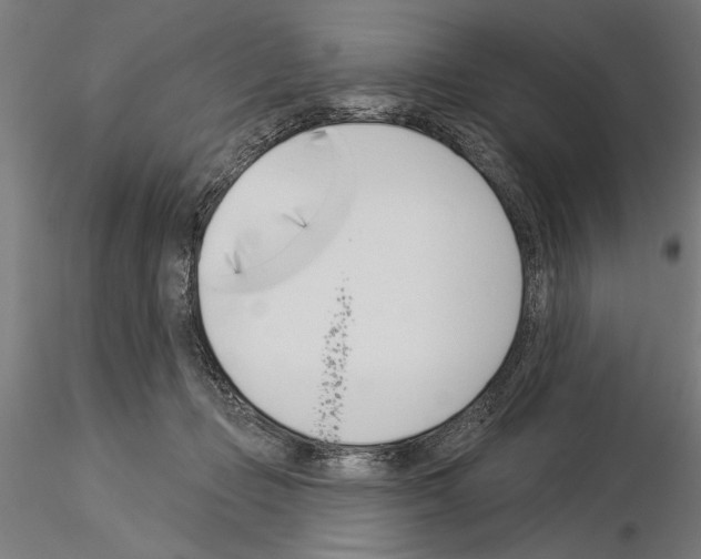 X0000115250365200912111122