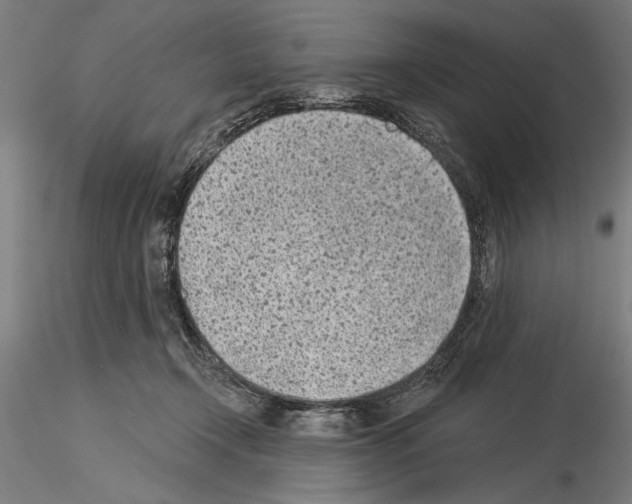 X0000115250366200912111122
