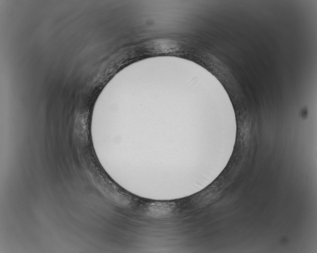 X0000115250373200912111122