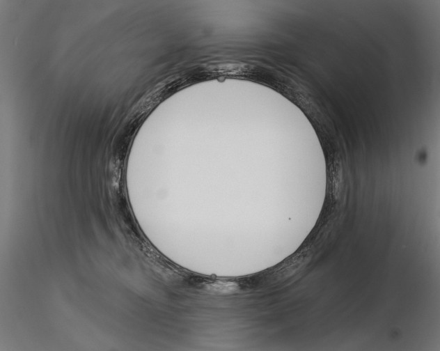 X0000115250374200912111122