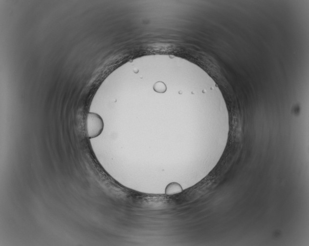 X0000115250377200912111122
