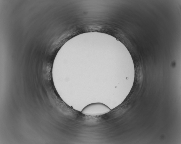 X0000115250378200912111122