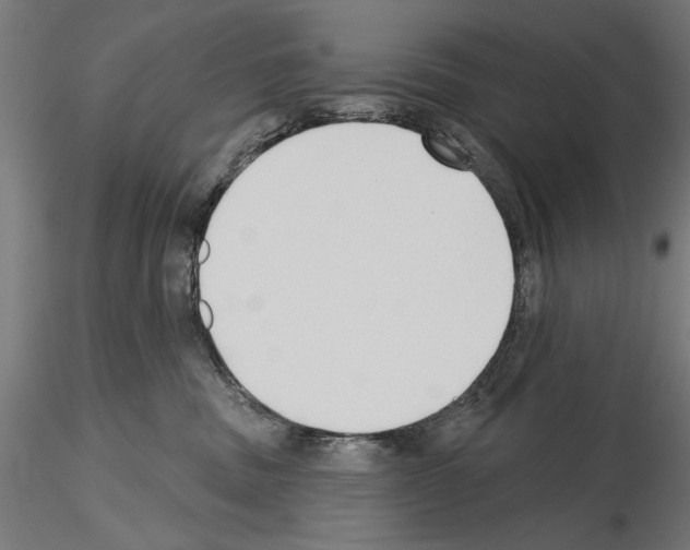 X0000115250379200912111122