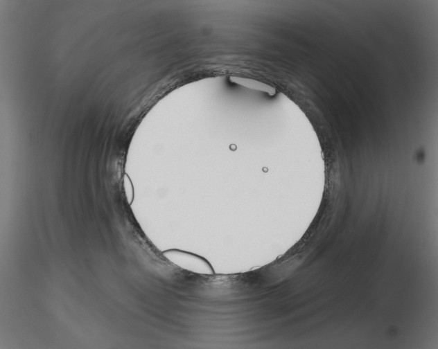 X0000115250382200912111122