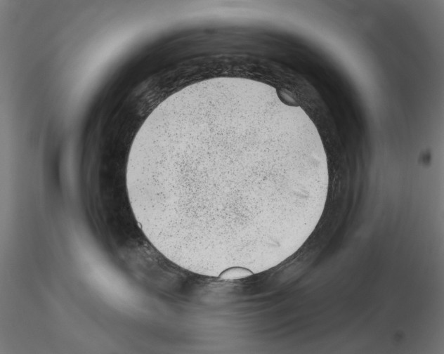 X0000115250383200912111122