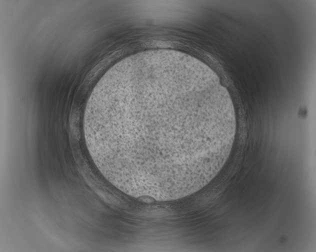 X0000115250386200912111122