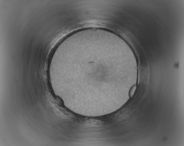 X0000115250387200912111122