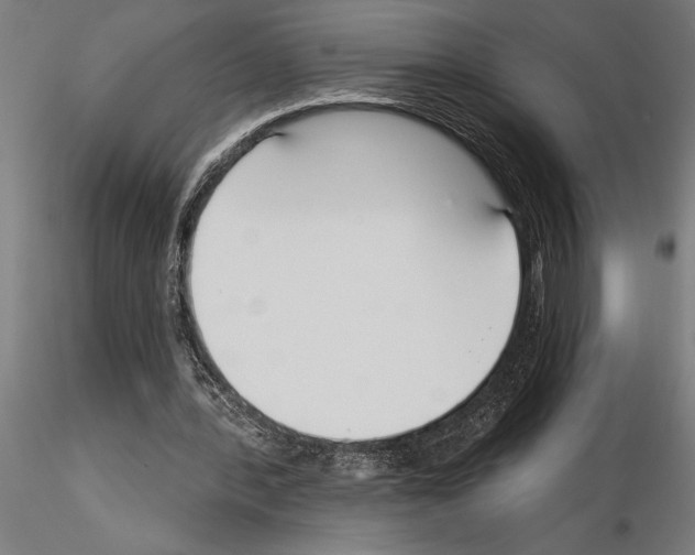 X0000115250388200912111122