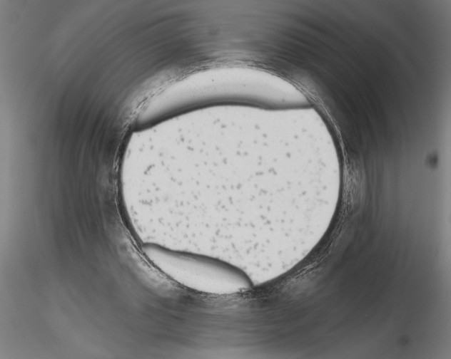 X0000115250389200912111122