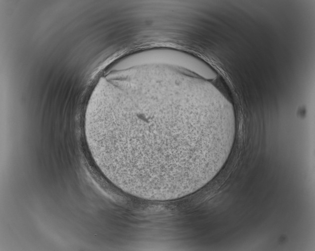 X0000115250390200912111122